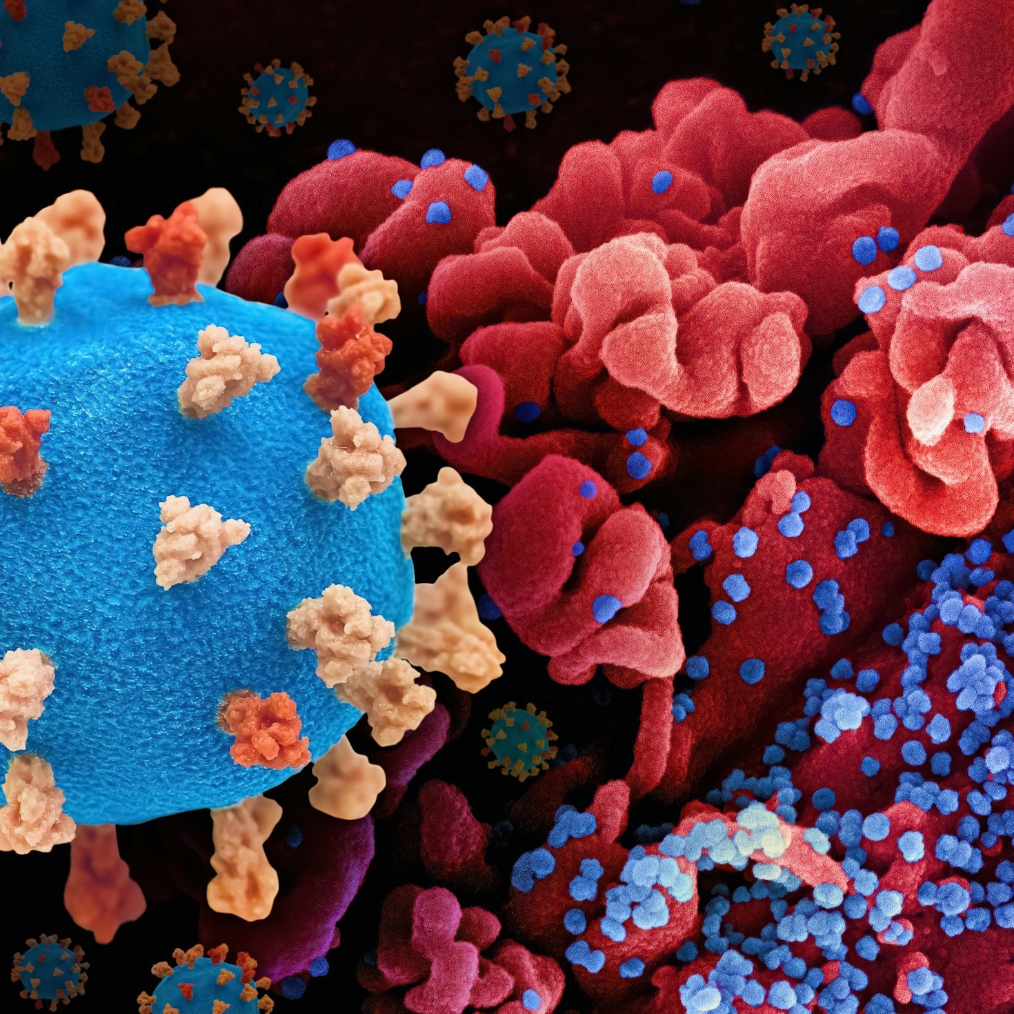 Overcoming Challenges: Poppy’s Inspirational Journey